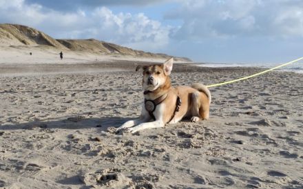 Polly sucht ihren sicheren Hafen