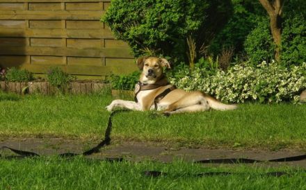 Polly sucht ihren sicheren Hafen