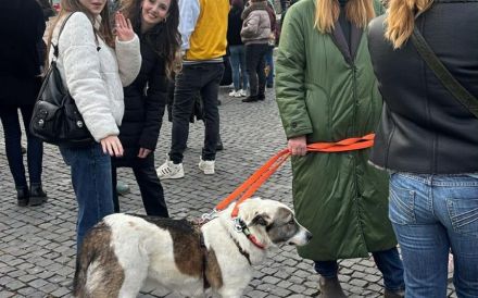 Kalea auf der Suche nach dem Glück