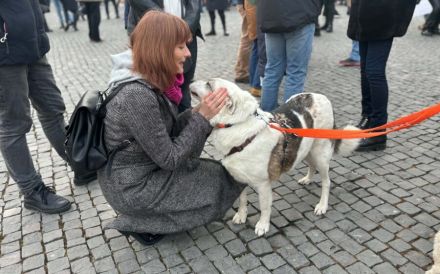 Kalea auf der Suche nach dem Glück