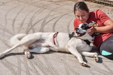 Hier kommt der menschenbezogene Miles!