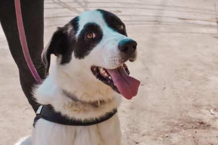 Hier kommt der menschenbezogene Miles!