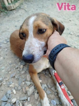 Vita II, 07/22 - würde so gern wieder an die Menschen glauben...