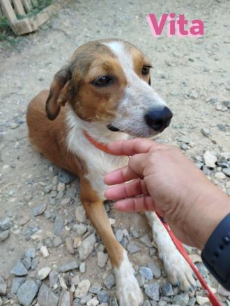 Vita II, 07/22 - würde so gern wieder an die Menschen glauben...