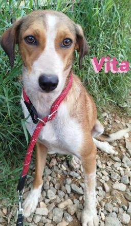 Vita II, 07/22 - würde so gern wieder an die Menschen glauben...