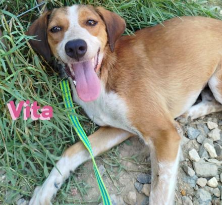 Vita II, 07/22 - würde so gern wieder an die Menschen glauben...