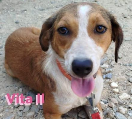 Vita II, 07/22 - würde so gern wieder an die Menschen glauben...