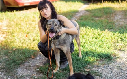 Schenkst du Lady Silver Geborgenheit?