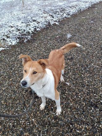 LUCKY LUKE sucht ein liebes Zuhause