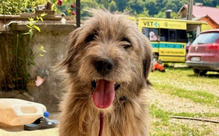 Hast du ein Herz für Apollo?