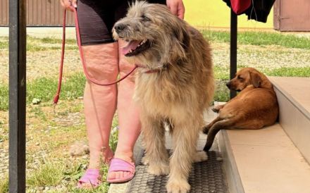 Hast du ein Herz für Apollo?