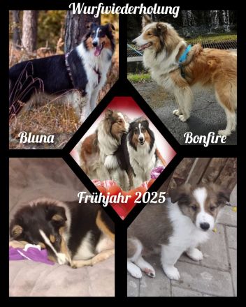 American Angel of Golden Paradise