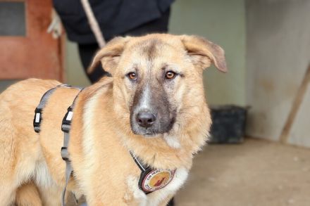 Die tolle Fiona ist bereit für ein Leben! Mit dir?