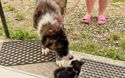 Hallo, ich bin Pretty Woman und suche ein Zuhause.