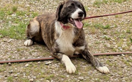 Hallo, ich bin Pretty Woman und suche ein Zuhause.