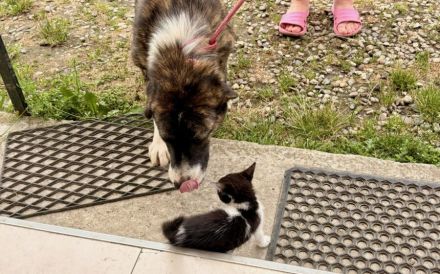 Hallo, ich bin Pretty Woman und suche ein Zuhause.