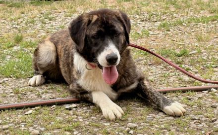 Hallo, ich bin Pretty Woman und suche ein Zuhause.