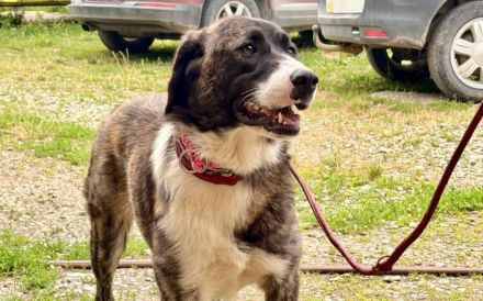 Hallo, ich bin Pretty Woman und suche ein Zuhause.