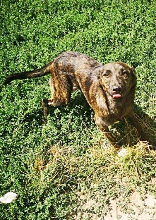 Minni, sehr freundlich und lieb