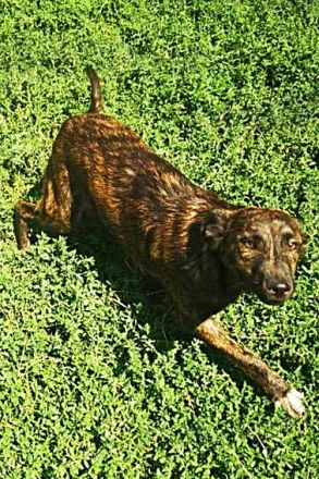 Minni, sehr freundlich und lieb