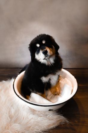 WURFANKÜNDIUNG DO KHYI