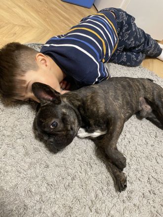 Coco sucht liebevolles Zuhause