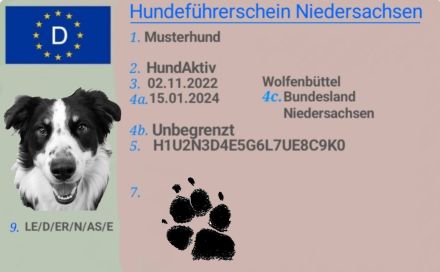 Hundehaltersachkunde Hundeführerschein