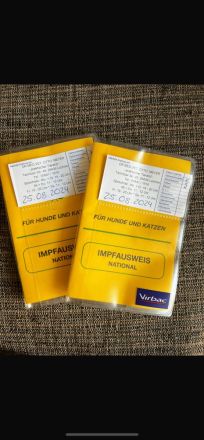 2 Kater mit Zubehör