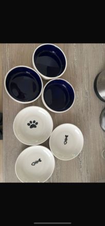 2 Kater mit Zubehör