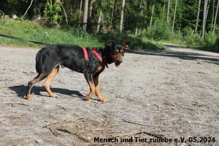 Kora menschenbezogen und agil