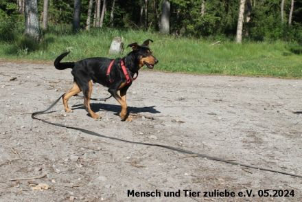 Kora menschenbezogen und agil