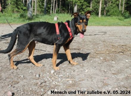 Kora menschenbezogen und agil