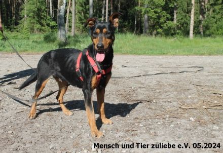 Kora menschenbezogen und agil