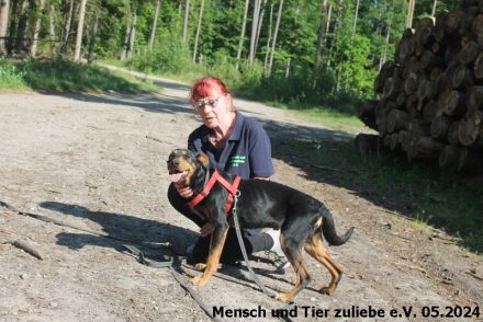 Kora menschenbezogen und agil