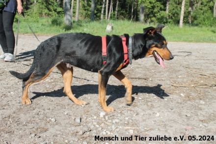 Kora menschenbezogen und agil