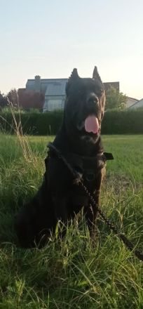 Ich suche einen für IMMER Platz