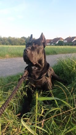 Ich suche einen für IMMER Platz