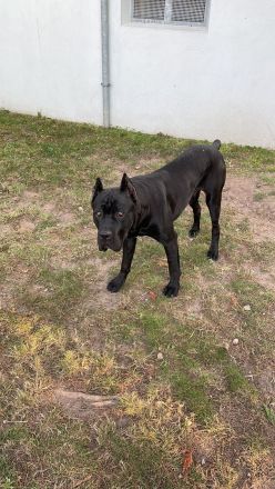 Ich suche einen für IMMER Platz