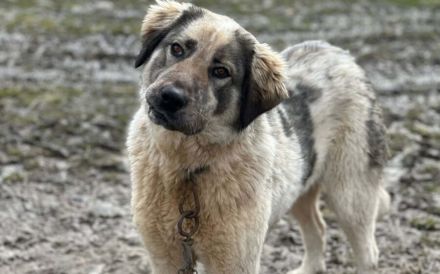 Aufgeschlossene Elly sucht ihre Familie