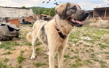 Aufgeschlossene Elly sucht ihre Familie