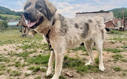 Aufgeschlossene Elly sucht ihre Familie