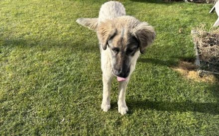 Aufgeschlossene Elly sucht ihre Familie