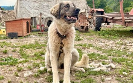 Aufgeschlossene Elly sucht ihre Familie