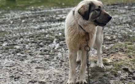 Aufgeschlossene Elly sucht ihre Familie