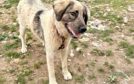 Aufgeschlossene Elly sucht ihre Familie