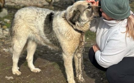 Aufgeschlossene Elly sucht ihre Familie