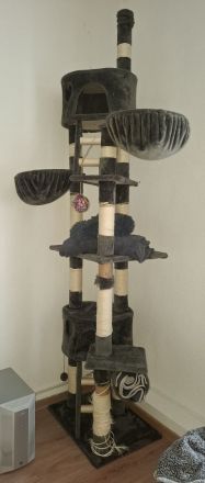 Suchen neuen Dosenöffner