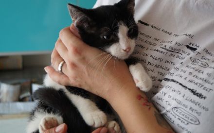 Kleine Milly sucht das große Glück
