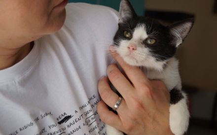 Kleine Milly sucht das große Glück