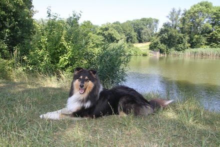 von der Sandsteinvilla